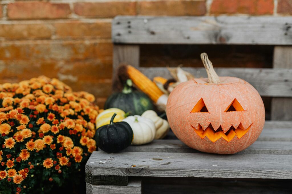 The Best Fall Activities in Houston for 2025