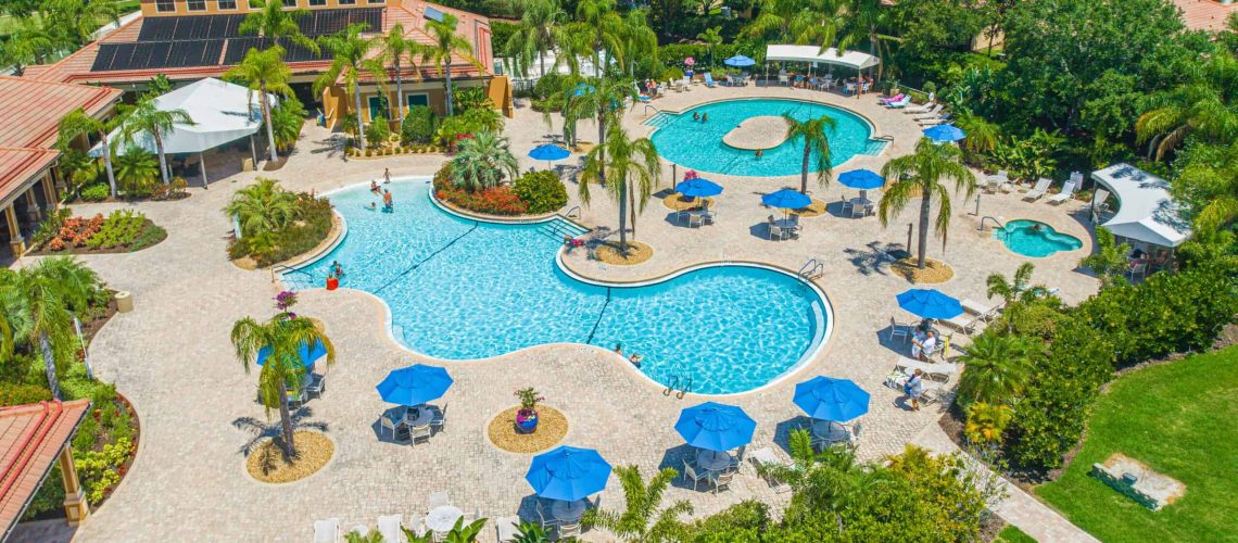 Relaxing pool area with palm trees, lounge chairs, and shaded umbrellas.