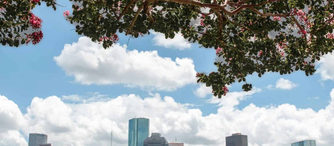 Houston skyline with park and blooming trees under a bright sky.