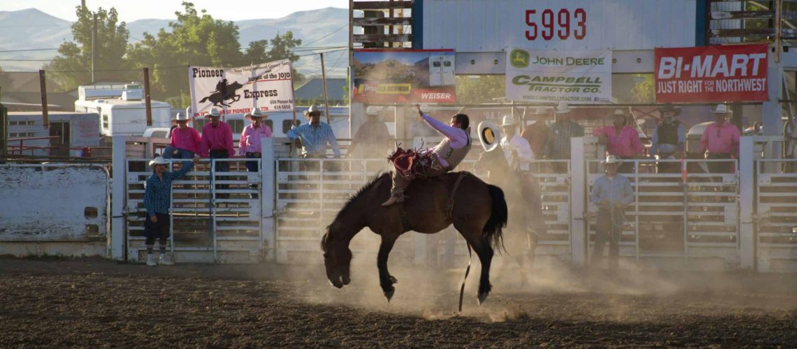 Rodeo cowboy performing on a bucking horse during Houston Rodeo event.