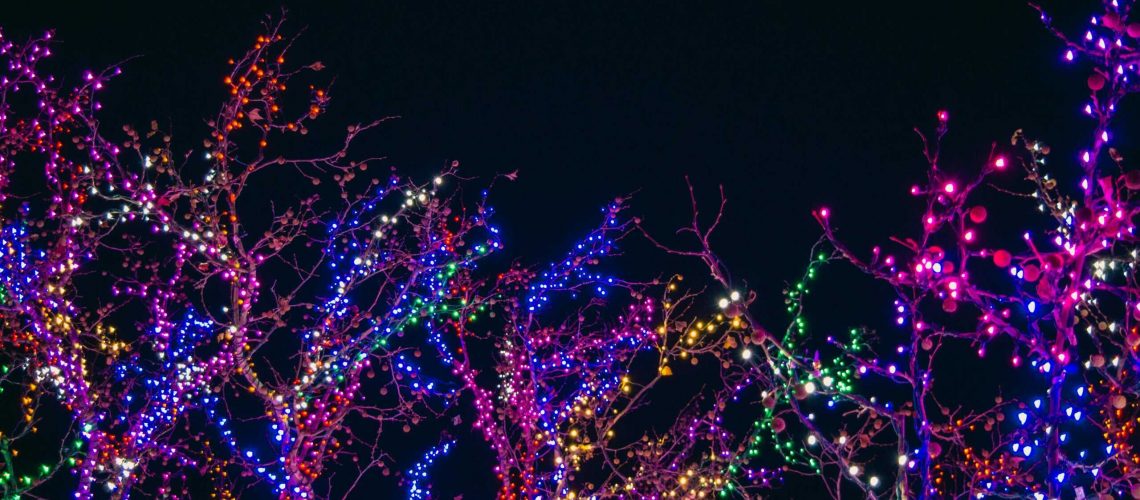 Decorated trees with colorful holiday lights against a dark night sky, emphasizing HOA compliance fo.