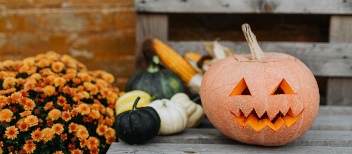 pexels-karolina-grabowska-5422739