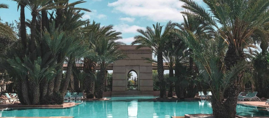 Pool with palm trees and blue sky in Houston.
